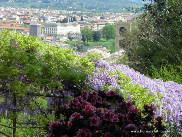 Visiting gardens in Florence and around.